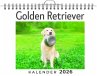 Golden Retriever - Bild 1