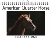 American Quarter Horse American Quarter Horse