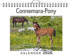 Cover Connemara-Pony