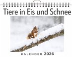Tiere in Eis und Schnee Tiere in Eis und Schnee