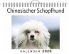 Chinesischer Schopfhund - Bild 1