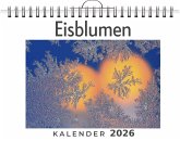 Eisblumen Eisblumen