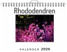 Rhododendren - Bild 1