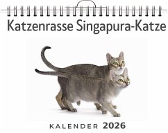 Cover Katzenrasse Singapura-Katze