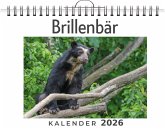Brillenbär Brillenbär