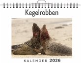 Kegelrobben