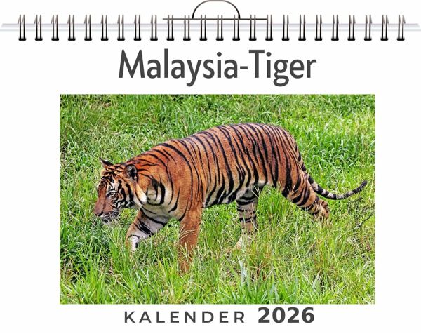 Malaysia-Tiger