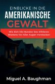 Einblicke In Die Amerikanische Gewalt (eBook, ePUB)