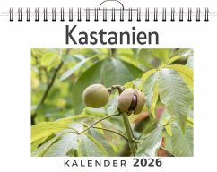 Kastanien - Schulz, Jonas