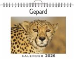 Gepard Gepard