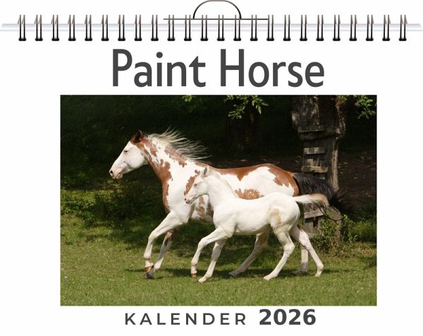 Paint Horse Paint Horse
