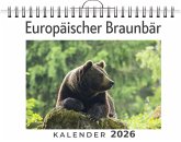 Europäischer Braunbär