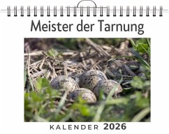 Meister der Tarnung Cover Meister der Tarnung