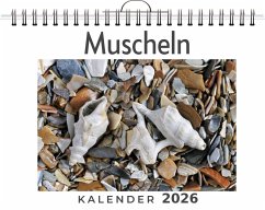 Cover Muscheln