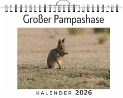 Cover Großer Pampashase