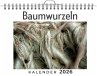 Baumwurzeln - Bild 1