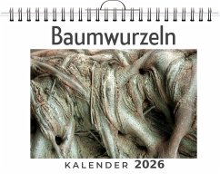Baumwurzeln Cover Baumwurzeln