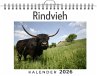 Rindvieh - Bild 1