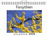 Forsythien - Bild 1
