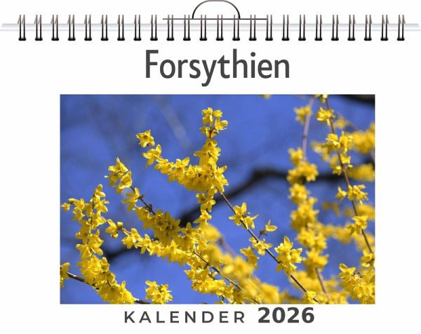 Forsythien