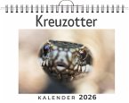Kreuzotter Kreuzotter