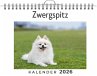 Zwergspitz - Bild 1