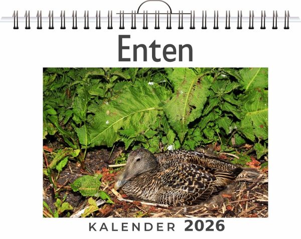 Enten
