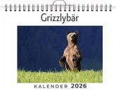 Grizzlybär