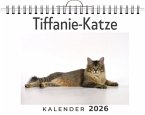 Tiffanie-Katze