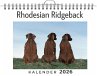 Rhodesian Ridgeback - Bild 1