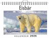 Eisbär - Bild 1