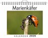 Marienkäfer - Bild 1