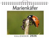 Marienkäfer