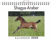 Shagya-Araber