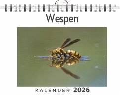 Wespen - Klein, Tim Wespen - Klein, Tim