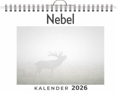 Nebel Cover Nebel