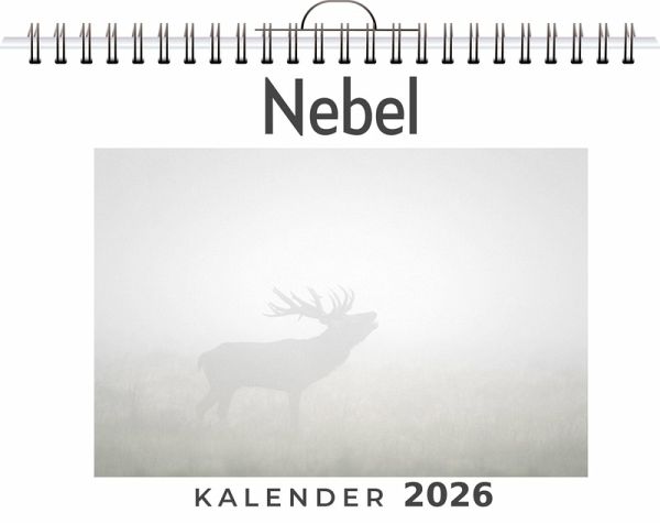 Nebel Nebel