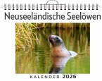 Neuseeländische Seelöwen