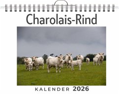 Charolais-Rind - Braun, Linus