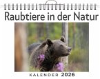 Raubtiere in der Natur