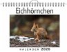 Eichhörnchen - Bild 1