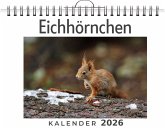 Eichhörnchen