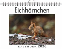 Eichhörnchen Cover Eichhörnchen
