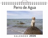 Perro de Agua Perro de Agua