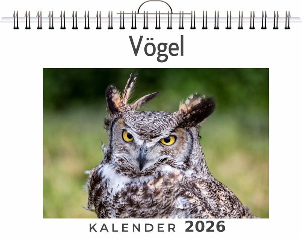 Vögel Vögel