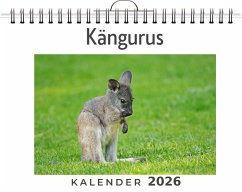 Kängurus - Schwarz, Ben Kängurus - Schwarz, Ben