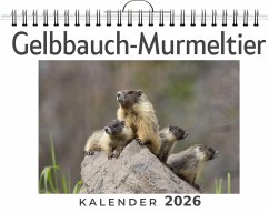 Cover Gelbbauch-Murmeltier