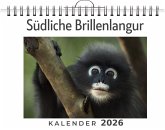 Südliche Brillenlangur