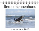 Berner Sennenhund