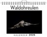 Waldohreulen - Bild 1